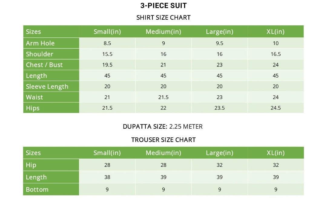 Aafreen 3pcs Elegant 3 -