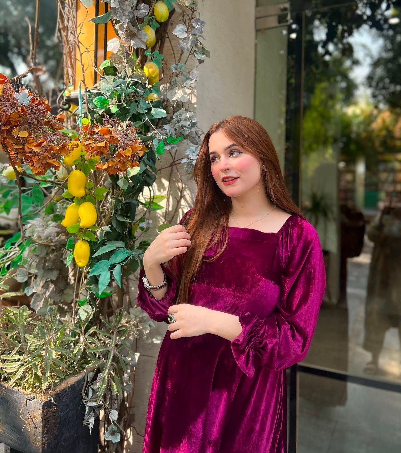 Elegant Plum Velvet Maxi Dress with Long Sleeves